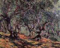 Monet, Claude Oscar - Olive Trees in Bordighera